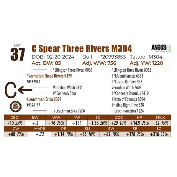 C Spear Three Rivers M304