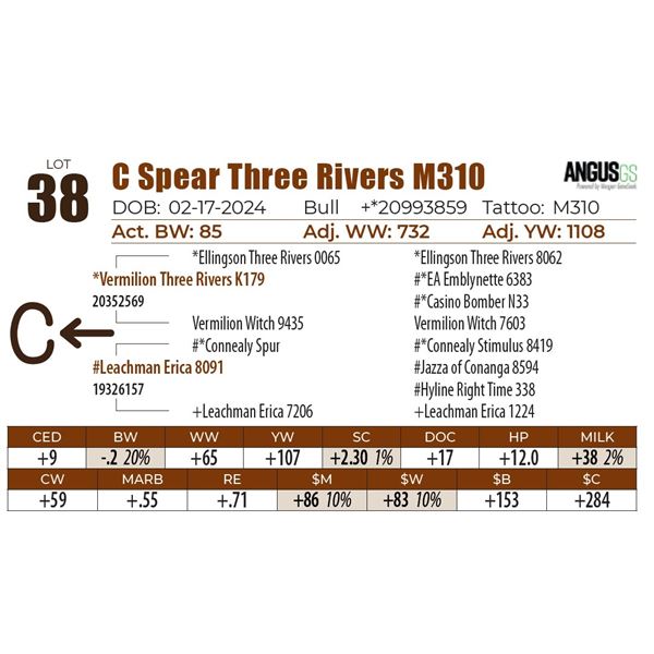 C Spear Three Rivers M310