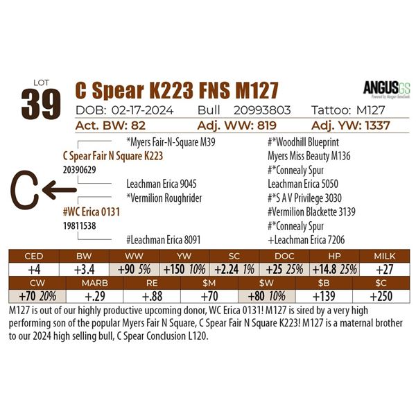 C Spear K223 FNS M127
