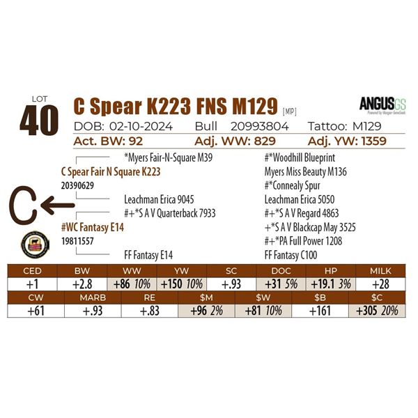 C Spear K223 FNS M129