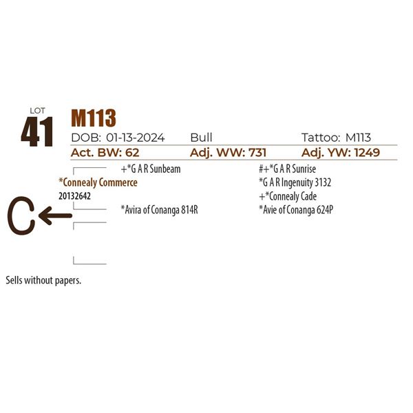 C Spear M113