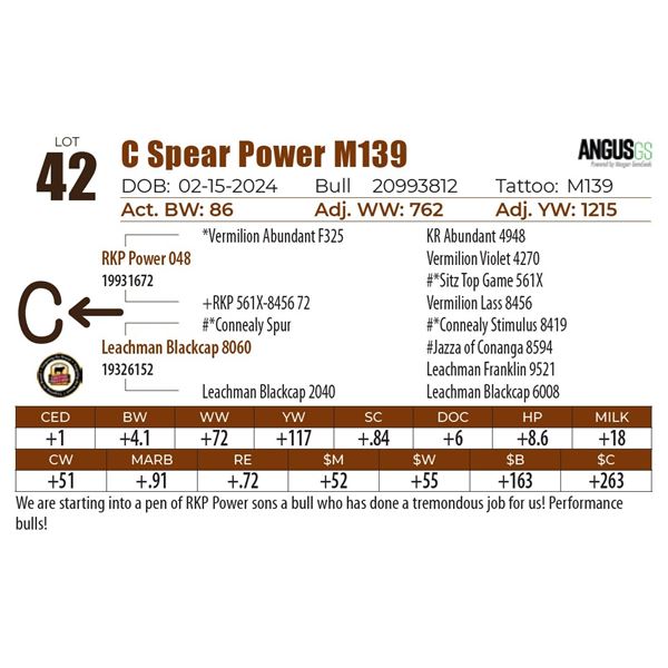 C Spear Power M139