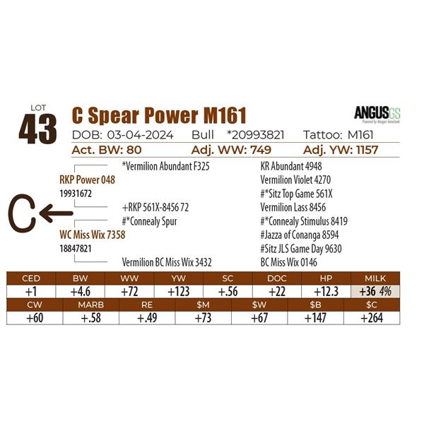 C Spear Power M161