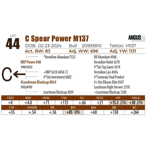 C Spear Power M137