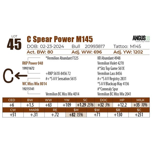 C Spear Power M145