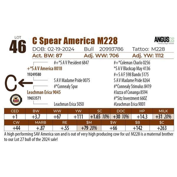 C Spear America M228