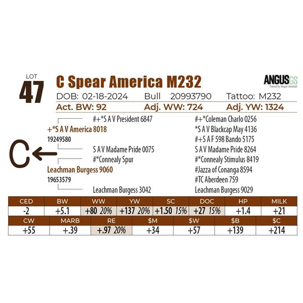 C Spear America M232