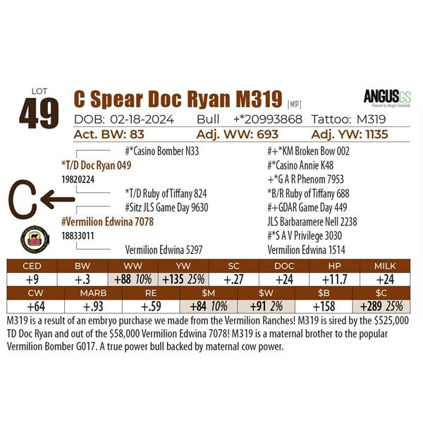 C Spear Doc Ryan M319