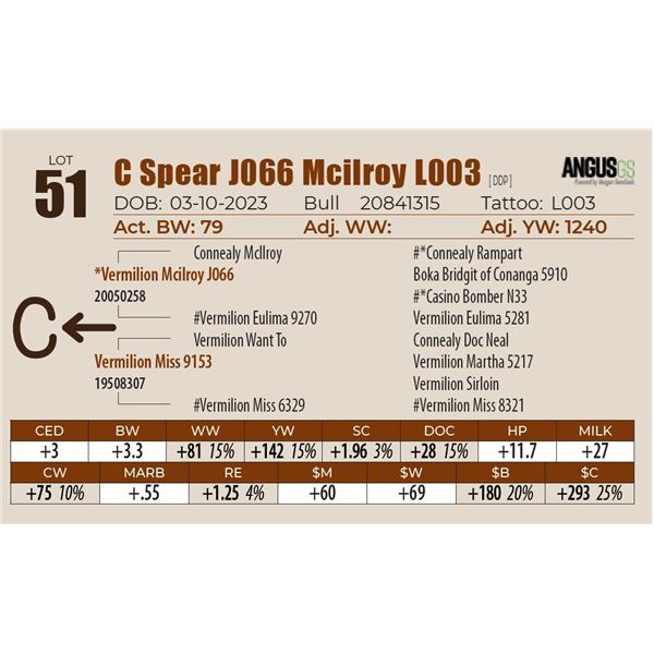 C Spear J066 Mcilroy L003
