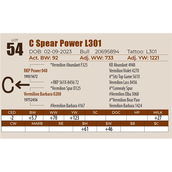 C Spear Power L301