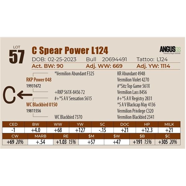 C Spear Power L124