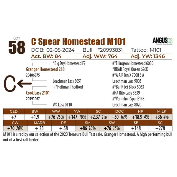 C Spear Homestead M101