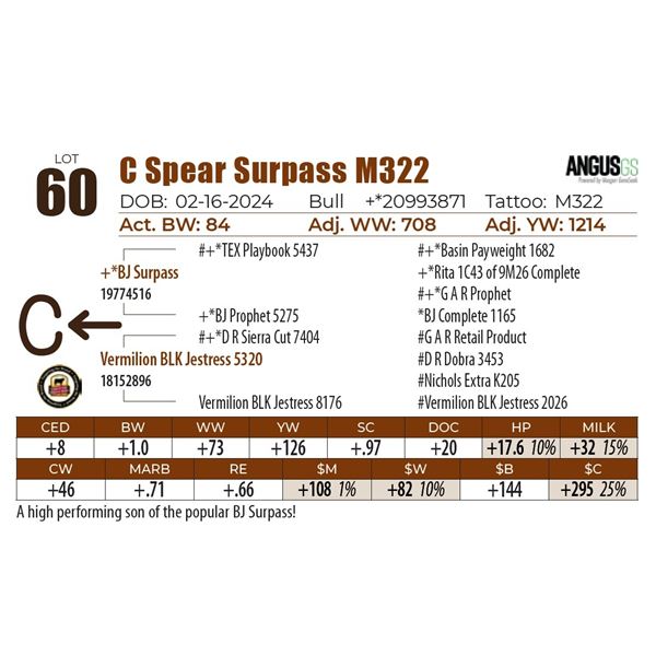 C Spear Surpass M322