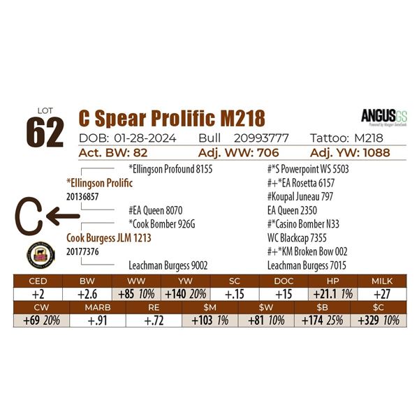 C Spear Prolific M218