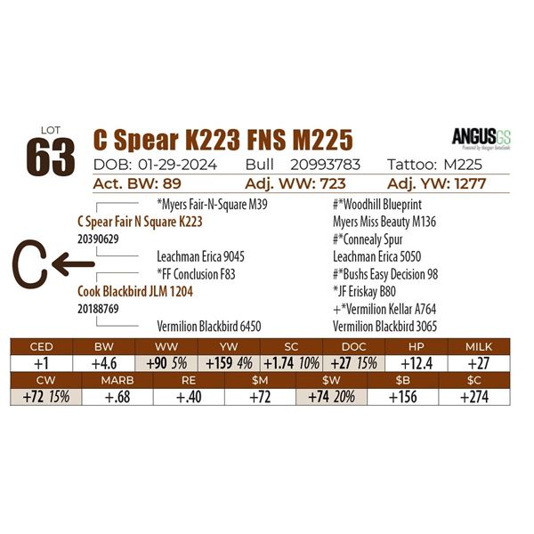 C Spear K223 FNS M225