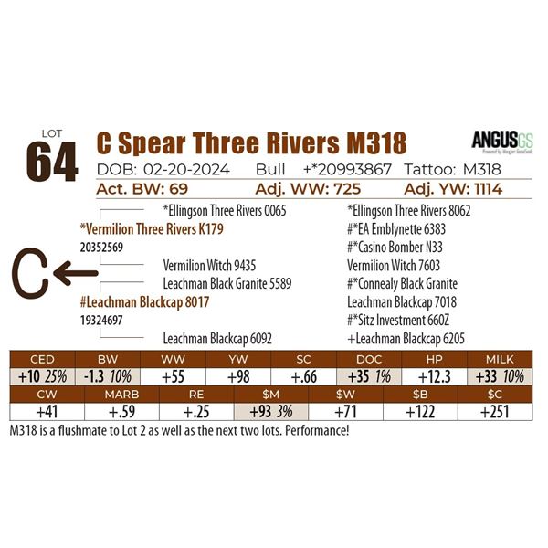 C Spear Three Rivers M318