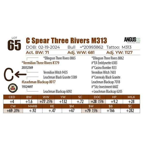 C Spear Three Rivers M313