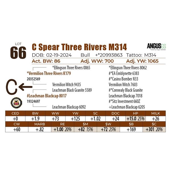 C Spear Three Rivers M314