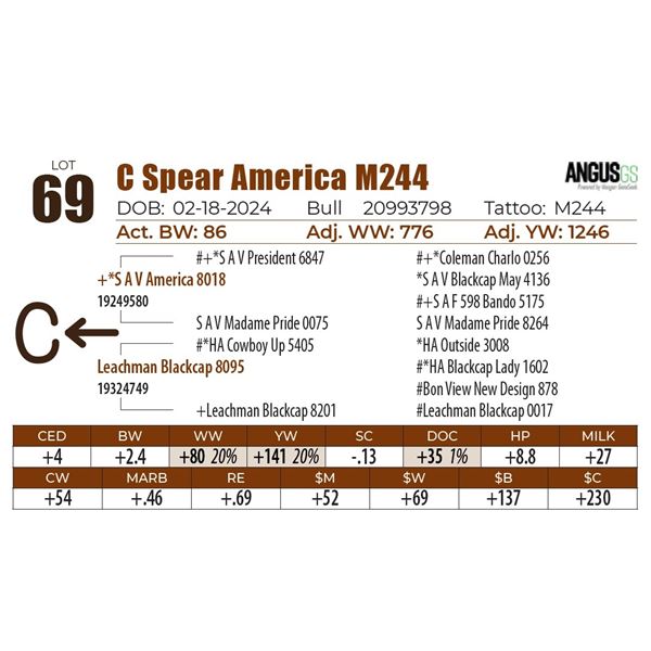 C Spear America M244