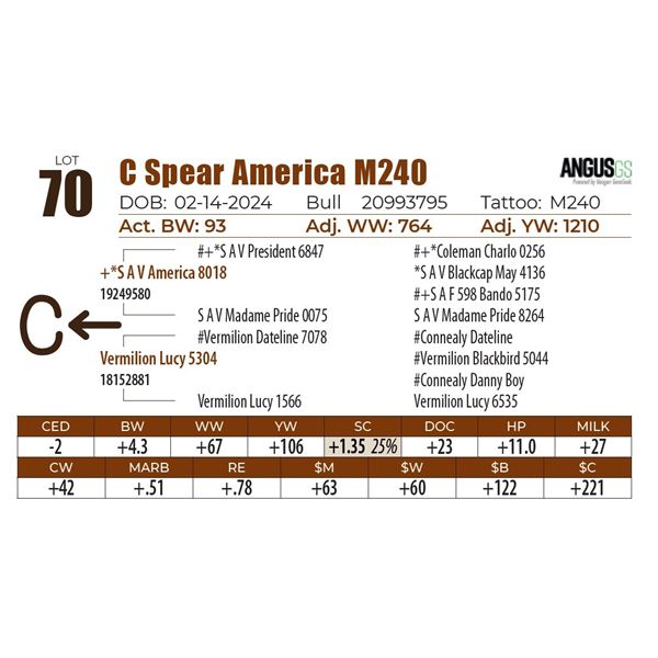 C Spear America M240
