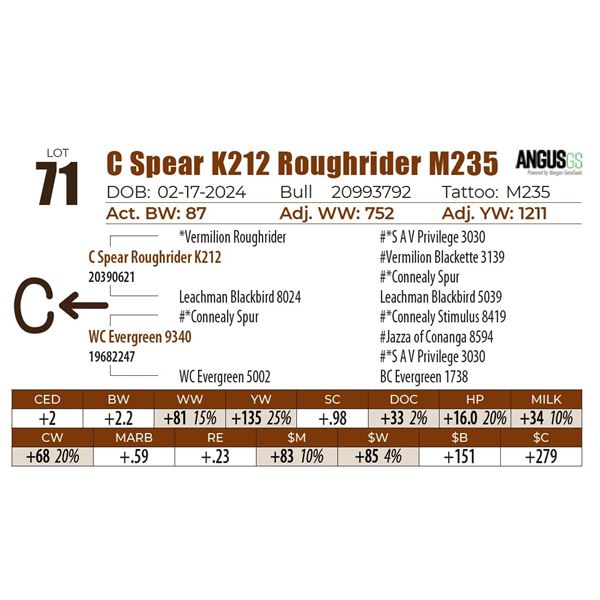 C Spear K212 Roughrider M235