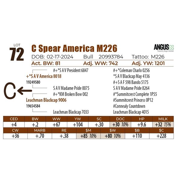 C Spear America M226