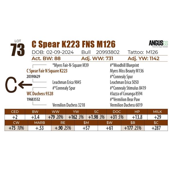 C Spear K223 FNS M126