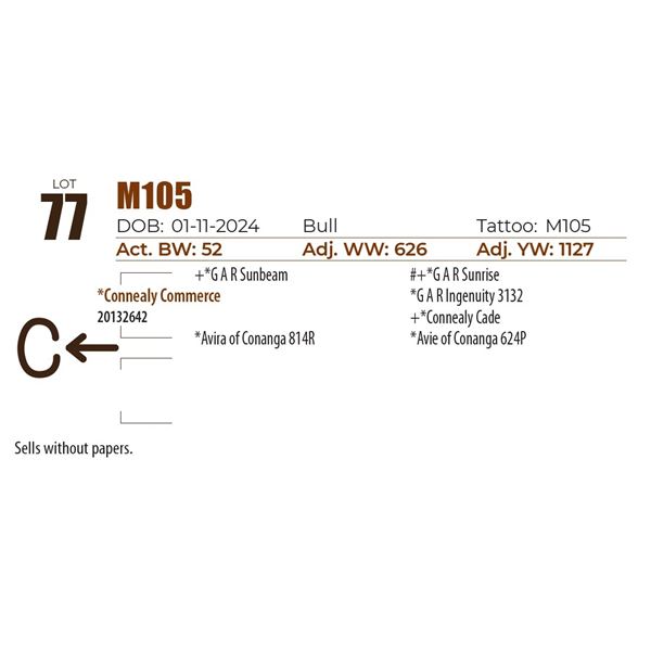 C Spear M105