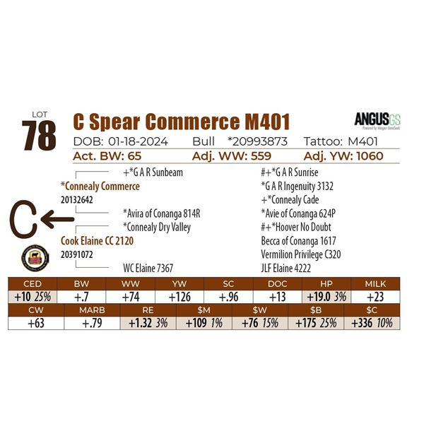 C Spear Commerce M401