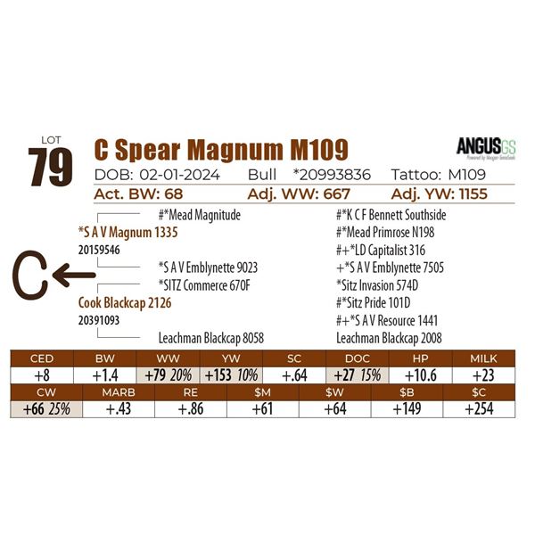 C Spear Magnum M109
