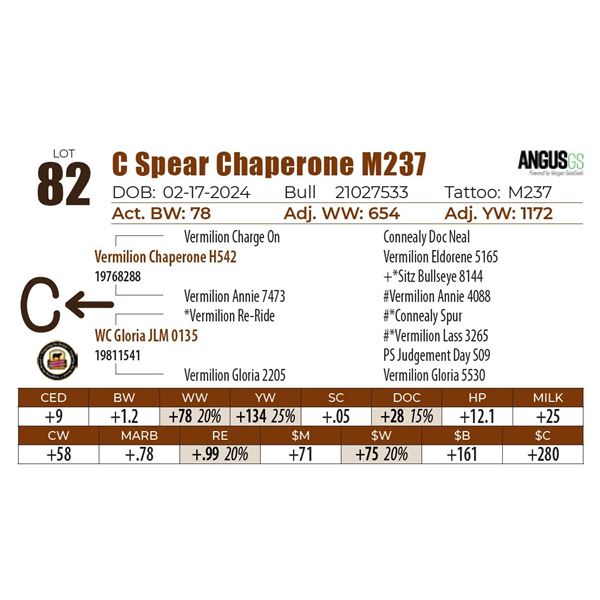 C Spear Chaperone M237