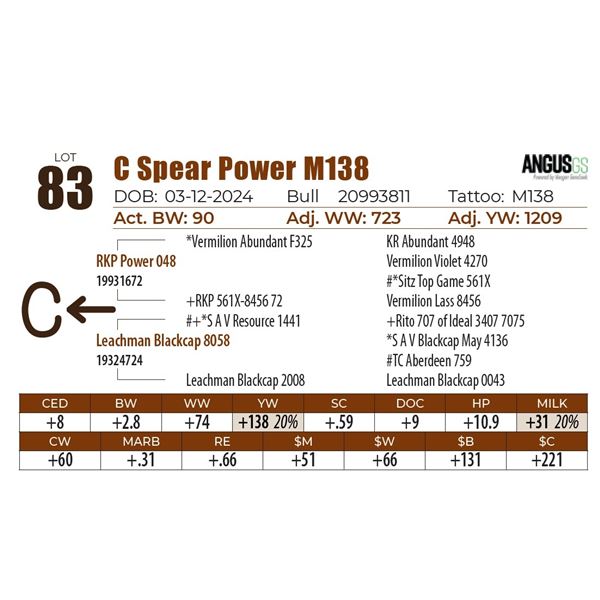 C Spear Power M138