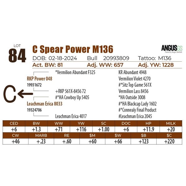 C Spear Power M136