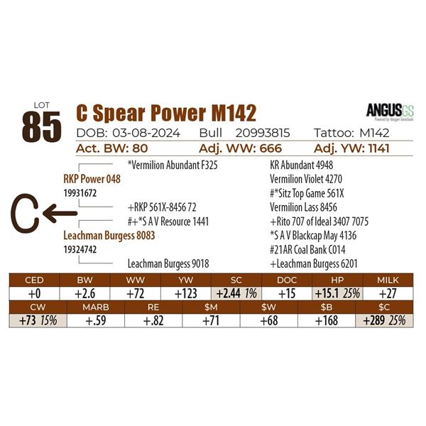 C Spear Power M142