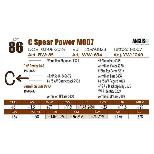 C Spear Power M007
