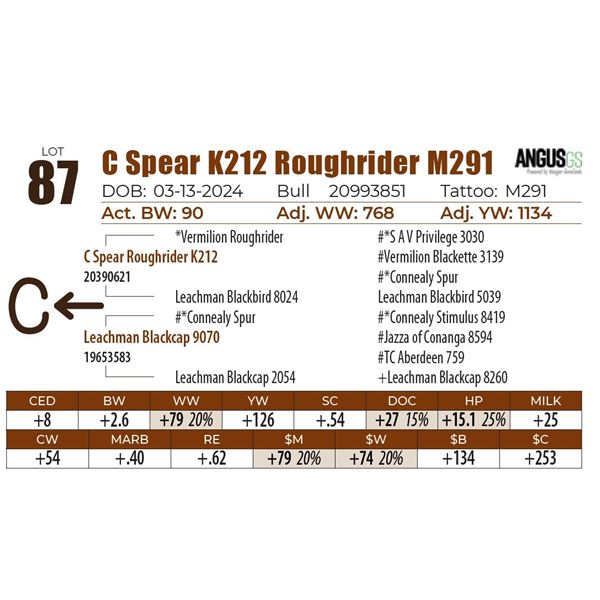 C Spear K212 Roughrider M291