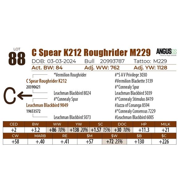 C Spear K212 Roughrider M229