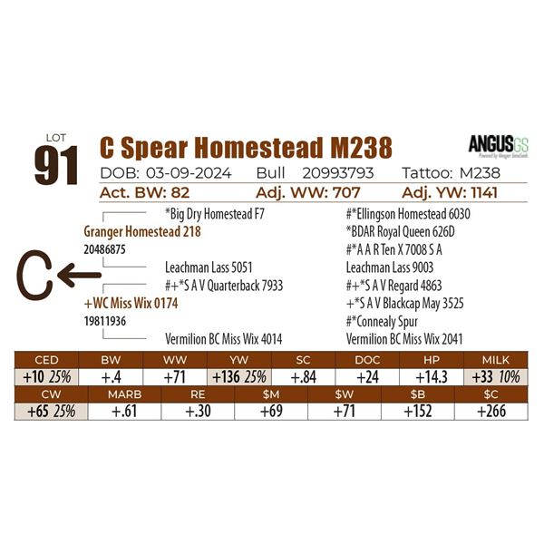 C Spear Homestead M238