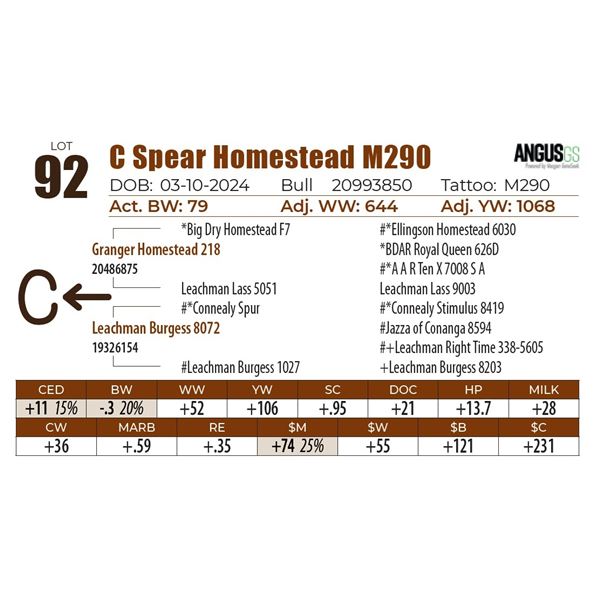 C Spear Homestead M290