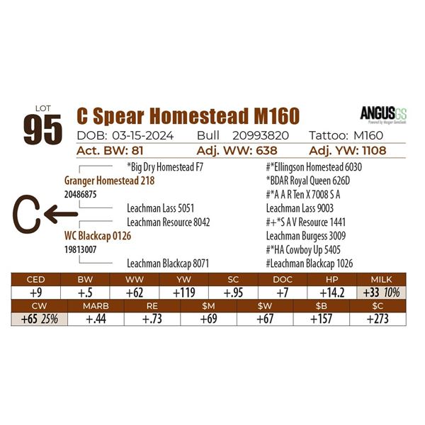 C Spear Homestead M160