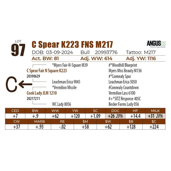 C Spear K223 FNS M217