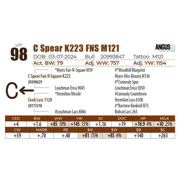 C Spear K223 FNS M121