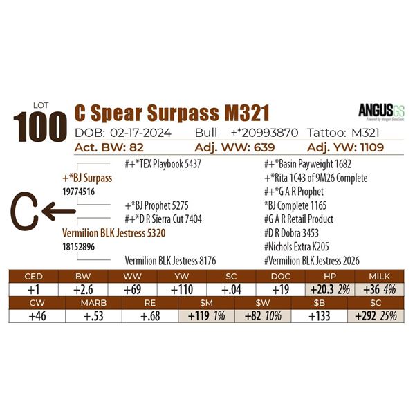 C Spear Surpass M321