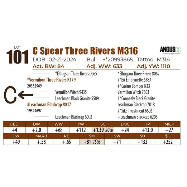 C Spear Three Rivers M316