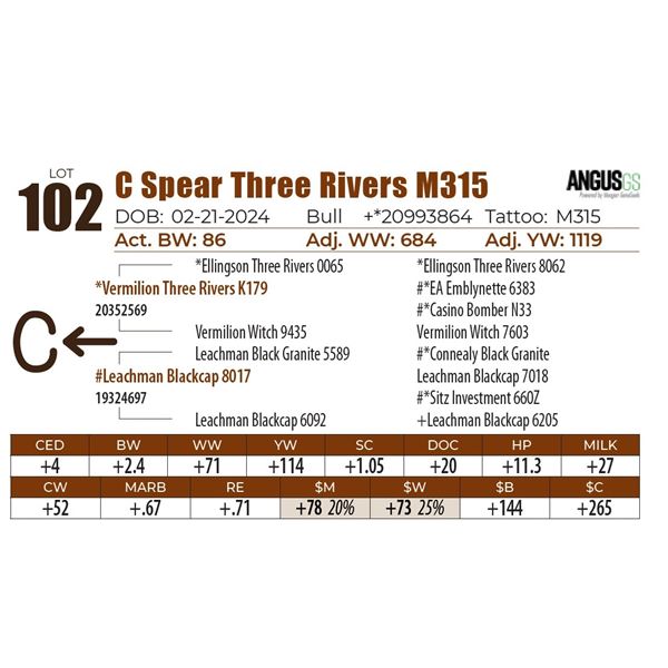 C Spear Three Rivers M315