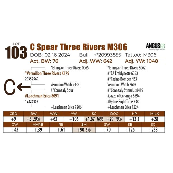 C Spear Three Rivers M306