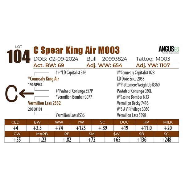 C Spear King Air M003