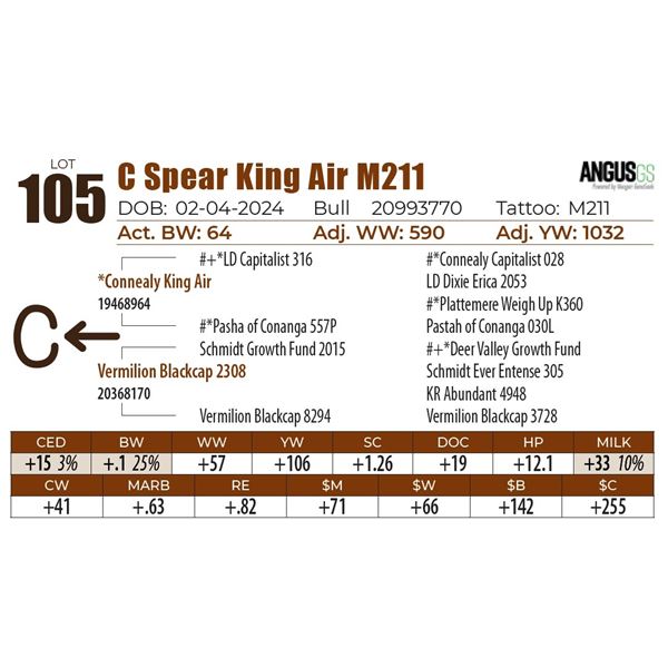 C Spear King Air M211