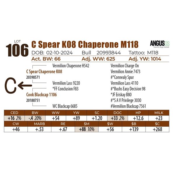 C Spear K08 Chaperone M118