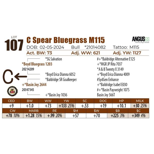 C Spear Bluegrass M115
